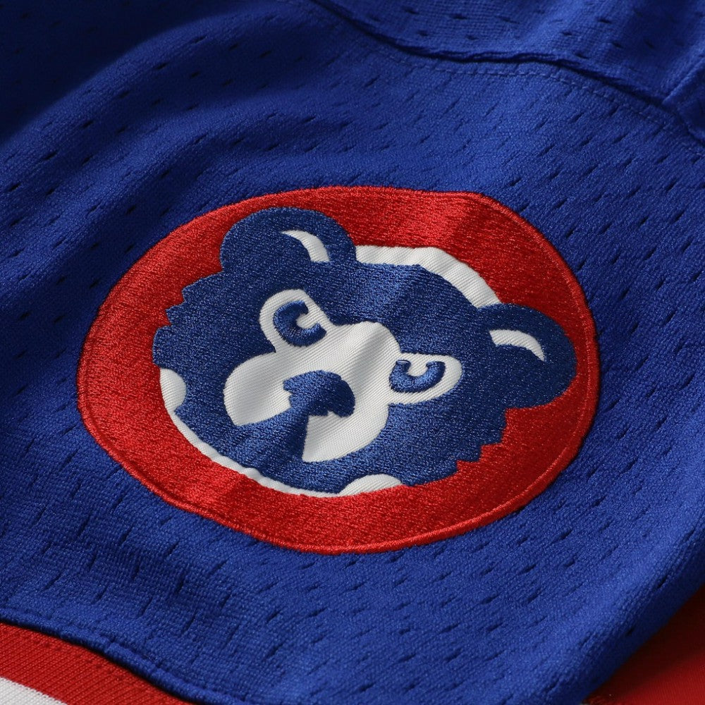 Ryne Sandberg Chicago Cubs Cooperstown Collection 1996 Mesh Batting Practice Button-Up Jersey Royal | Mitchell & Ness