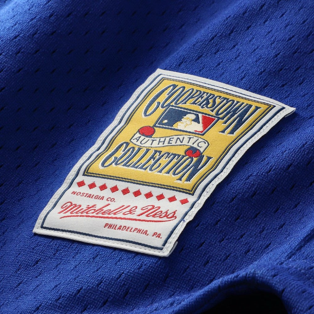 Ryne Sandberg Chicago Cubs Cooperstown Collection 1996 Mesh Batting Practice Button-Up Jersey Royal | Mitchell & Ness
