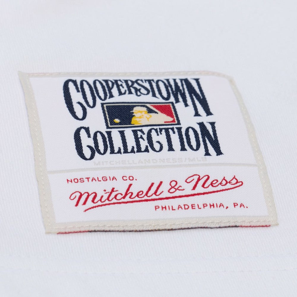 San Francisco Giants Cooperstown Collection Arctic T-Shirt White | Mitchell & Ness