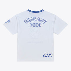 Chicago Cubs Cooperstown Collection Arctic T-Shirt White | Mitchell & Ness