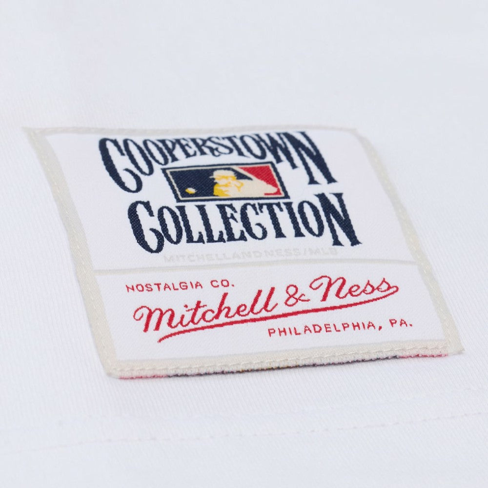 Los Angeles Dodgers Cooperstown Collection Arctic T-Shirt White | Mitchell & Ness