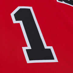 Derrick Rose Chicago Bulls 2008-09 Authentic Jersey sale - Red