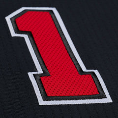 Derrick Rose Chicago Bulls 2010-11 Authentic Jersey sale - Black