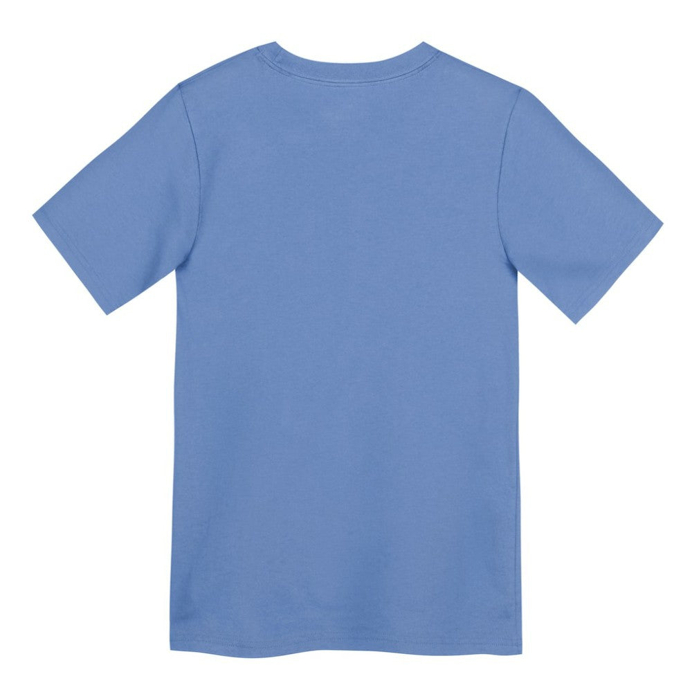 Chicago Cubs Preschool Electric Bear Alternate T-Shirt Light Blue | Nike