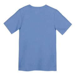 Chicago Cubs Preschool Electric Bear Alternate T-Shirt Light Blue | Nike
