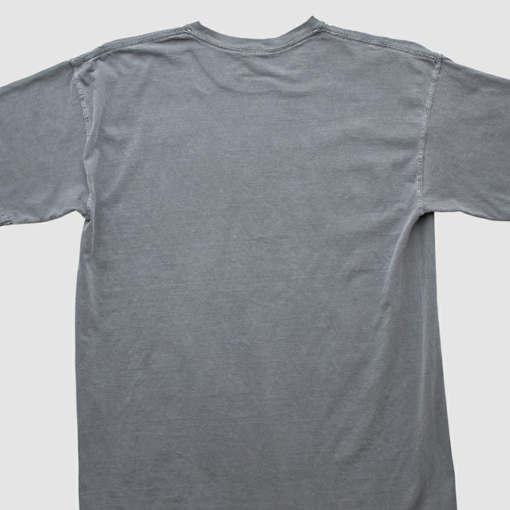 Pittsburgh Pirates Genuine Merchandise 2000s T-shirt Gray Vintage
