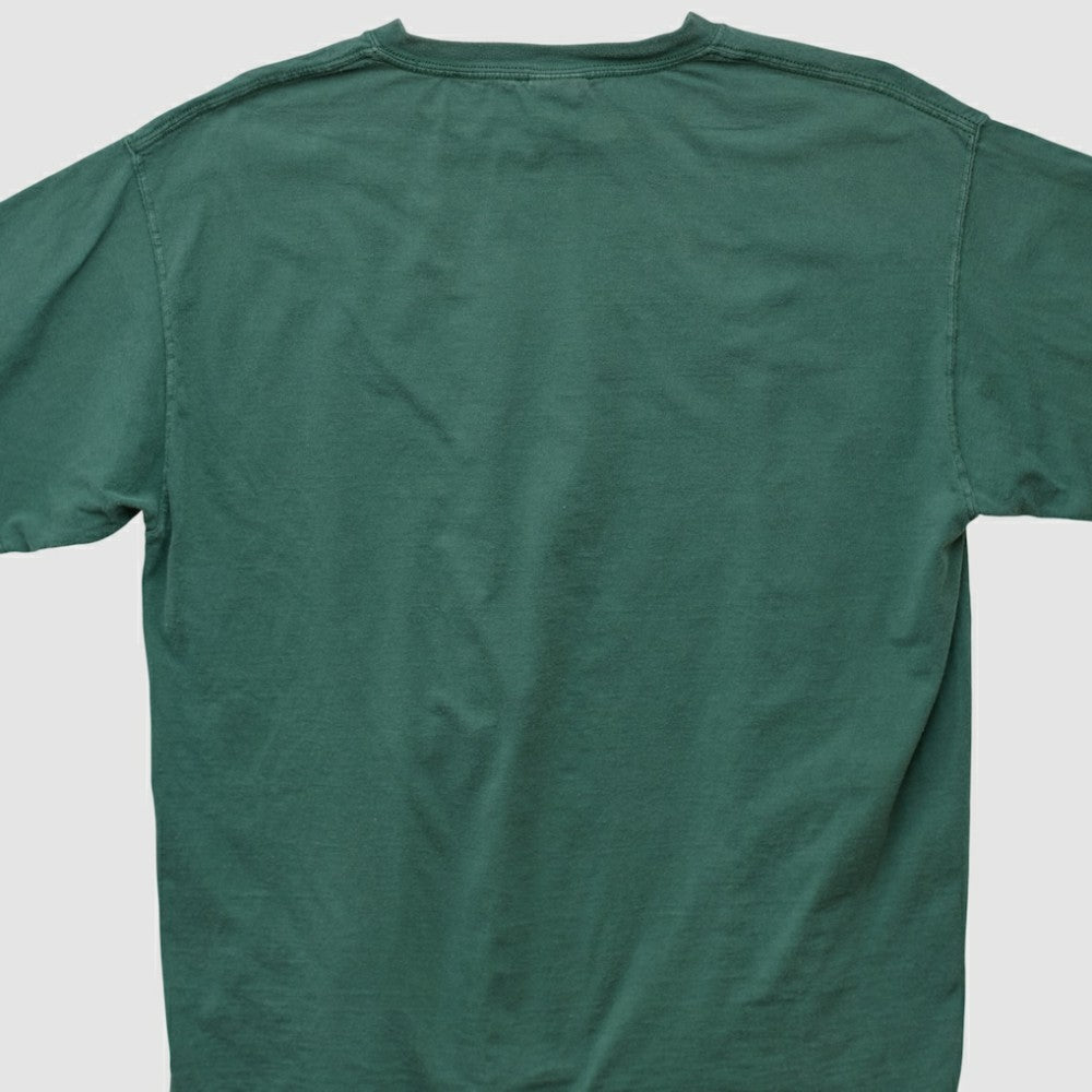 Tampa Bay Rays Lee Sport T-shirt Green Vintage