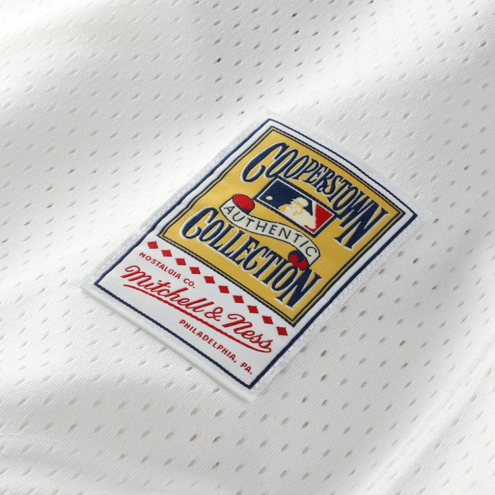 Carlton Fisk Chicago White Sox Authentic Batting Practice Jersey White | Mitchell & Ness