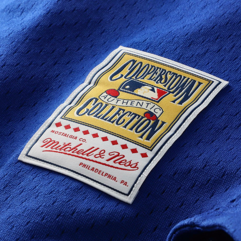 Mike Piazza Los Angeles Dodgers Cooperstown Collection Mesh Batting Practice Button-Up Jersey Royal | Mitchell & Ness