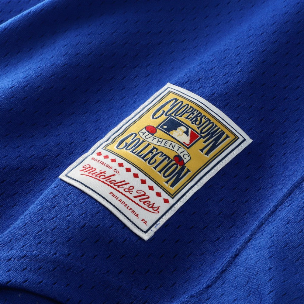 Dale Murphy Atlanta Braves Authentic Batting Practice Jersey Royal | Mitchell & Ness