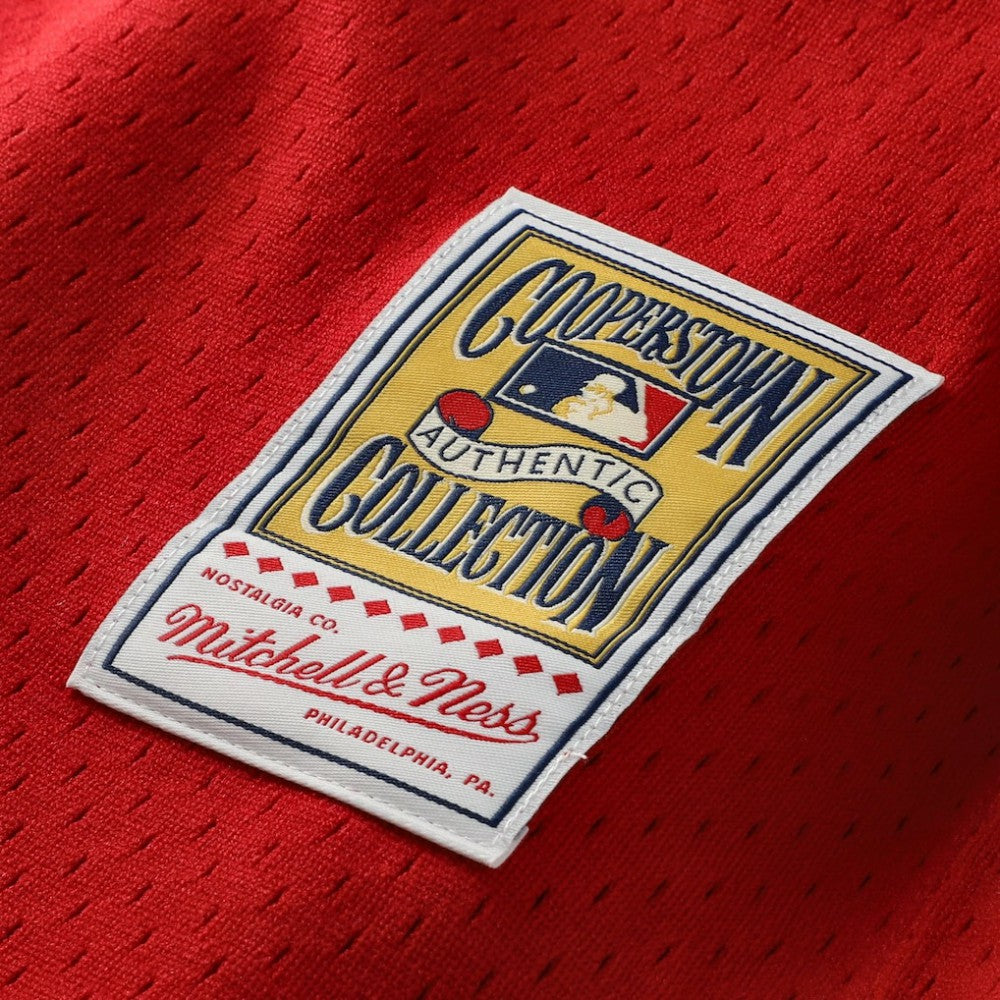 Johnny Bench Cincinnati Reds Cooperstown Collection Big & Tall Mesh Batting Practice Jersey Red | Mitchell & Ness