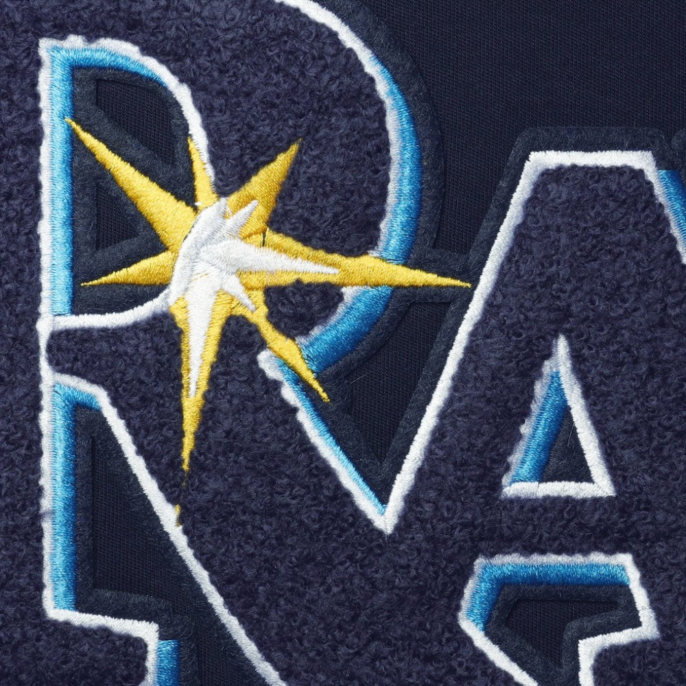 Tampa Bay Rays Pro Standard Team T-Shirt Navy