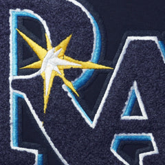 Tampa Bay Rays Pro Standard Team T-Shirt Navy