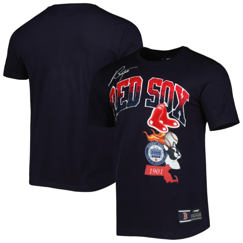 Boston Red Sox Pro Standard Hometown T-Shirt Navy
