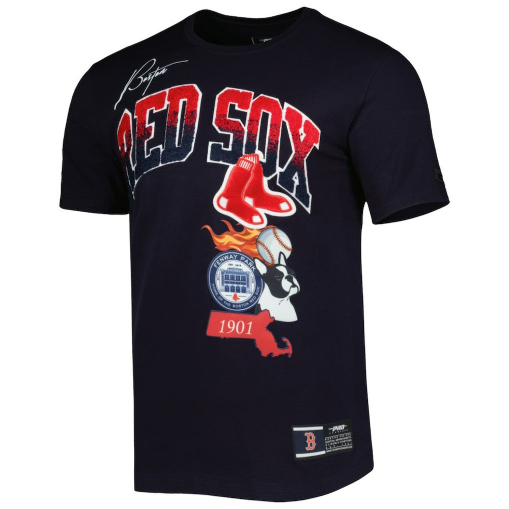 Boston Red Sox Pro Standard Hometown T-Shirt Navy