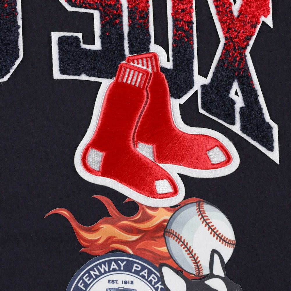 Boston Red Sox Pro Standard Hometown T-Shirt Navy