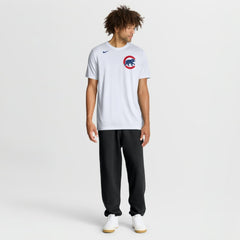 Chicago Cubs New Legend Wordmark Dri-FIT T-Shirt White | Nike