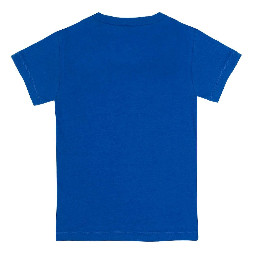Chicago Cubs Tiny Turnip Youth Base Stripe T-Shirt Royal