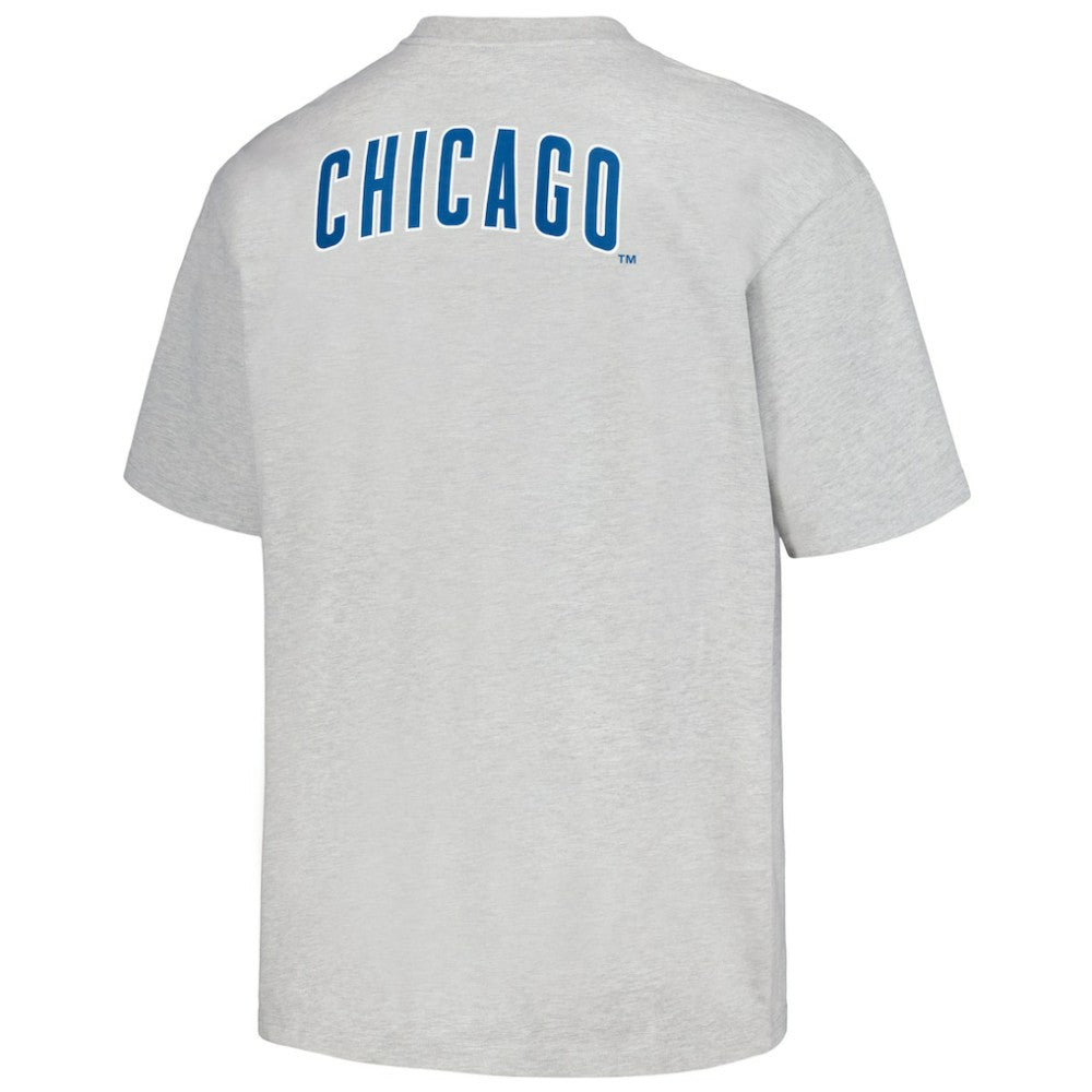 Chicago Cubs PLEASURES Mascot T-Shirt Gray