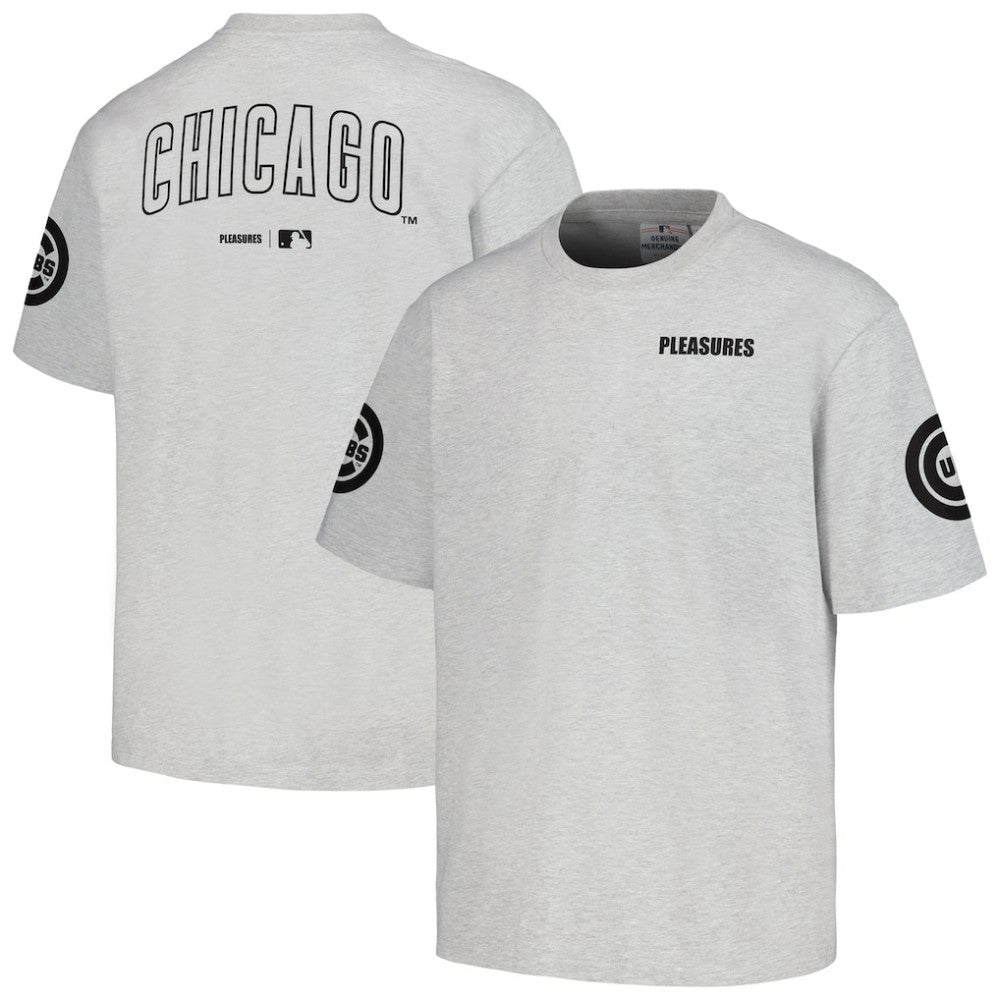 Chicago Cubs PLEASURES Team T-Shirt Gray