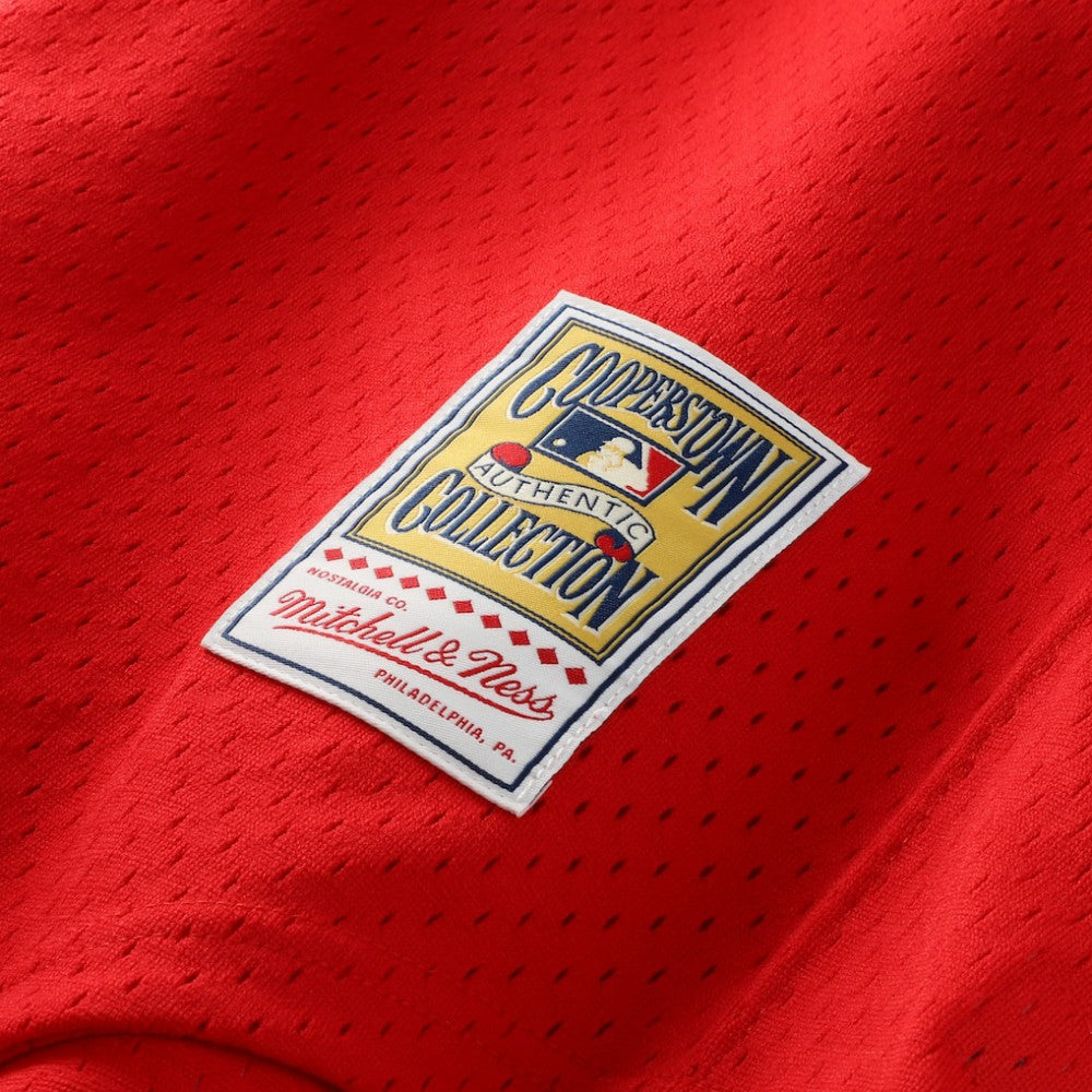 Dale Murphy Atlanta Braves Authentic Batting Practice Jersey Scarlet | Mitchell & Ness
