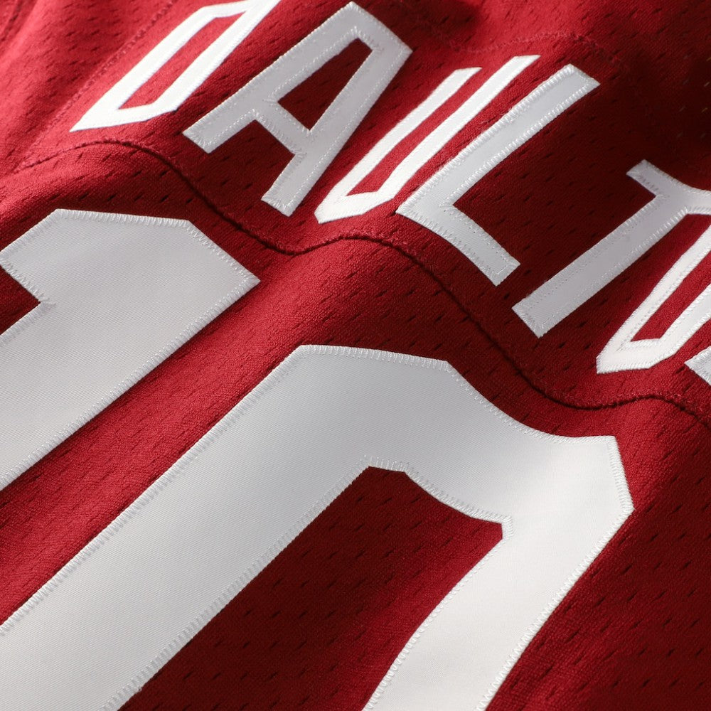 Darren Daulton Philadelphia Phillies Authentic Batting Practice Jersey Scarlet | Mitchell & Ness