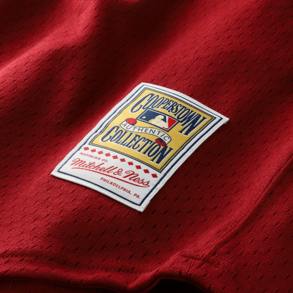 Darren Daulton Philadelphia Phillies Authentic Batting Practice Jersey Scarlet | Mitchell & Ness