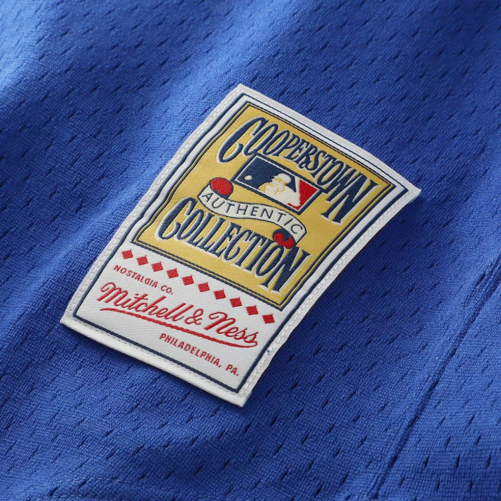 Nolan Ryan Texas Rangers Authentic Batting Practice Jersey Royal | Mitchell & Ness